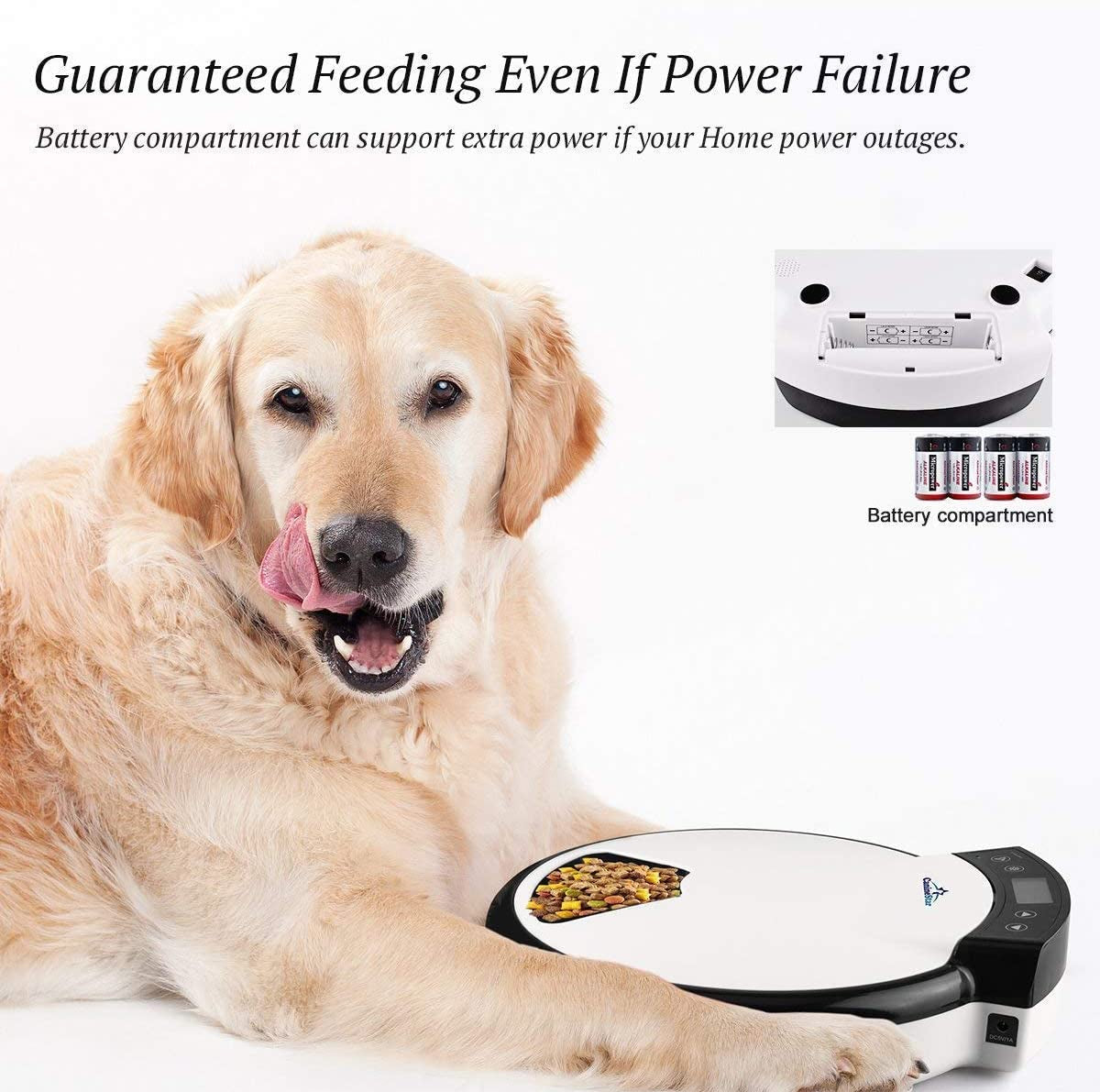 5-Meals Automatic Cat Feeder Auto Pet Feeder with Digital Timer Dry Wet Food Dispenser Voice Recorder & Speaker for Cat and Small Dog by Caninestar