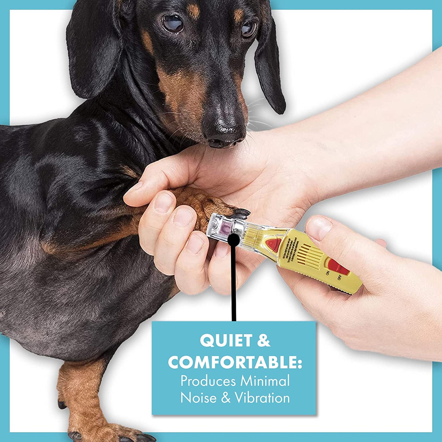 Nail Grinder for Professional Grooming At-Home with Attachments Included