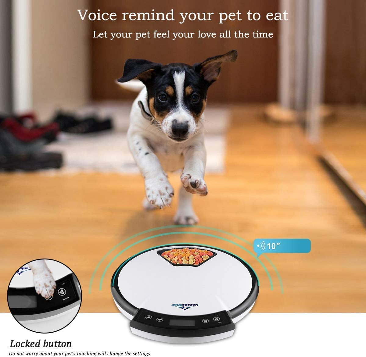 5-Meals Automatic Cat Feeder Auto Pet Feeder with Digital Timer Dry Wet Food Dispenser Voice Recorder & Speaker for Cat and Small Dog by Caninestar