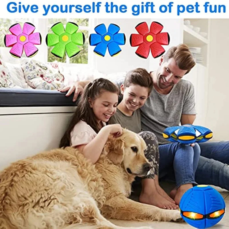 "Magical Pet Flying Saucer Ball: The Ultimate Outdoor Fun Toy for Kids and Dogs - 2023 Edition!"