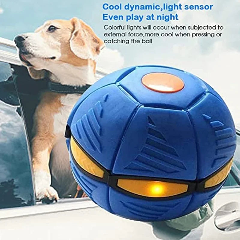 "Magical Pet Flying Saucer Ball: The Ultimate Outdoor Fun Toy for Kids and Dogs - 2023 Edition!"