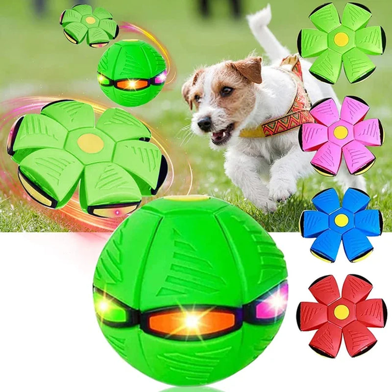 "Magical Pet Flying Saucer Ball: The Ultimate Outdoor Fun Toy for Kids and Dogs - 2023 Edition!"