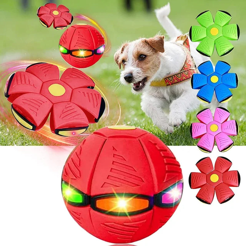 "Magical Pet Flying Saucer Ball: The Ultimate Outdoor Fun Toy for Kids and Dogs - 2023 Edition!"