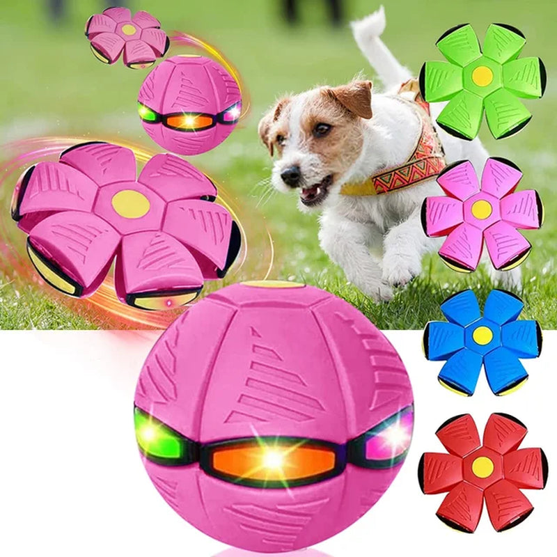 "Magical Pet Flying Saucer Ball: The Ultimate Outdoor Fun Toy for Kids and Dogs - 2023 Edition!"