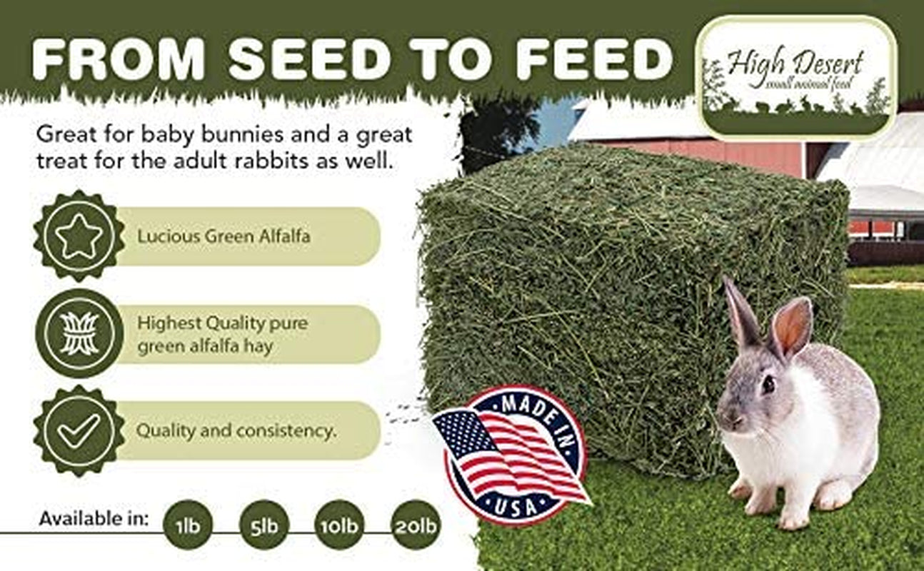 High Desert Alfalfa Hay - Dried Natural Alfalfa Hay for Rabbits, Guinea Pigs, Chinchillas, and Ferrets - Protein and Fiber Rich Food for Small Animals - Healthy Pet Food