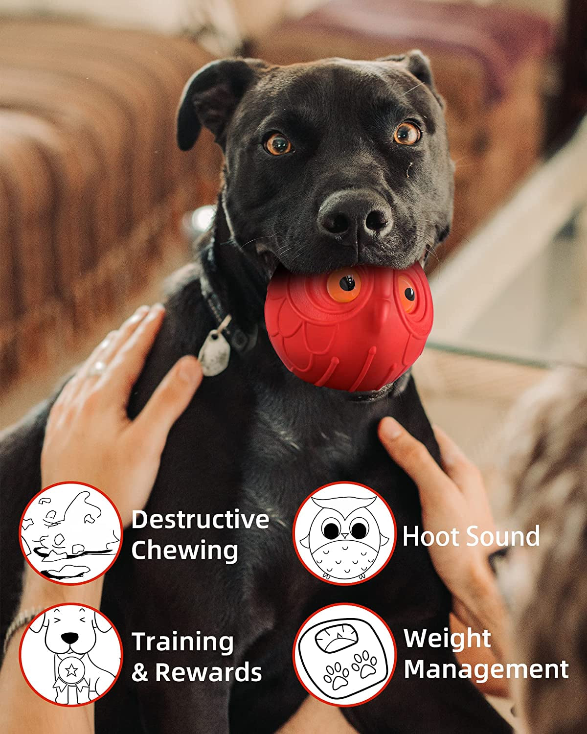 Giggle Ball for Dogs Indestructible Dog Toys for Aggressive Chewers Dog Ball Toy for Puppy Medium Large Dogs Natural Rubber Cute Owl Hoot Fun Giggle Sounds When Rolled or Shaken (Red Owl)