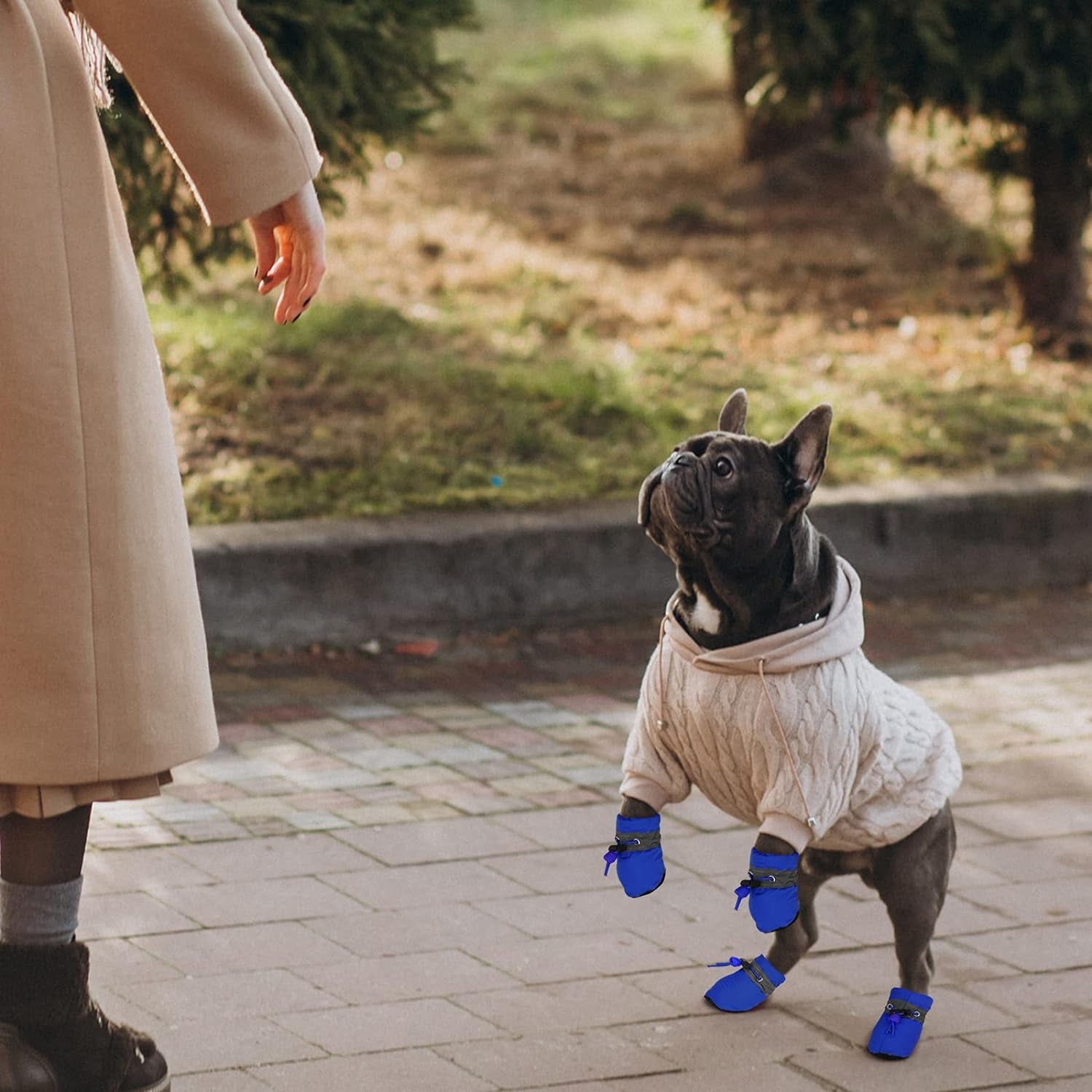 8 Pieces Dog Shoes Winter Warm Dog Paw Protector Anti-Slip Dog Boots with Reflective Straps for Dogs, Blue, Pink