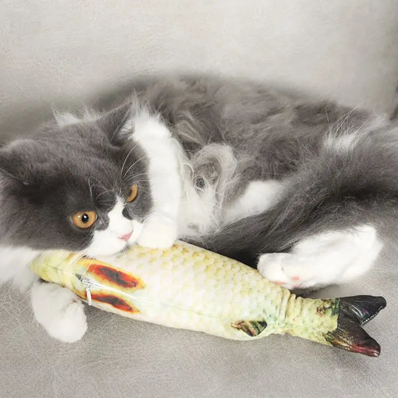 Pet Plush Cat Catnip Toy Teeth Teasing Cat Toy Simulated Fish Cat Fish Throw Pillow