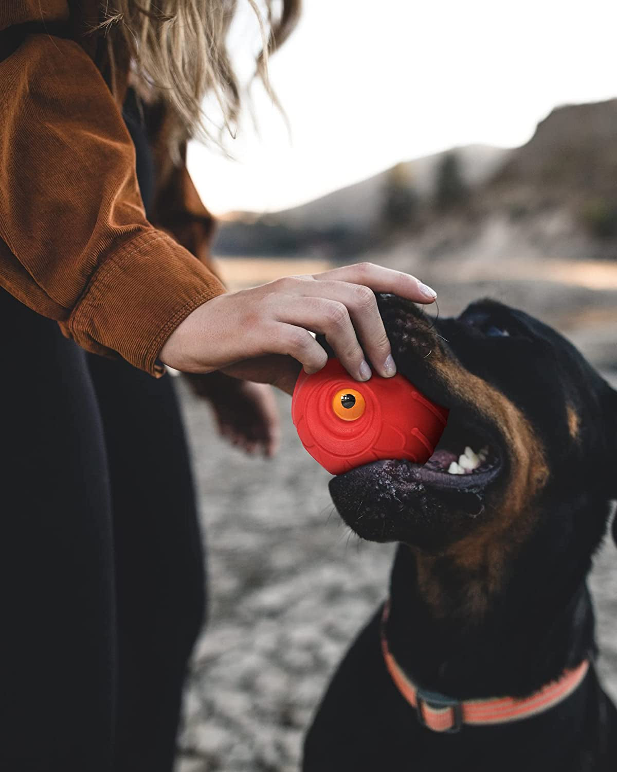 Giggle Ball for Dogs Indestructible Dog Toys for Aggressive Chewers Dog Ball Toy for Puppy Medium Large Dogs Natural Rubber Cute Owl Hoot Fun Giggle Sounds When Rolled or Shaken (Red Owl)