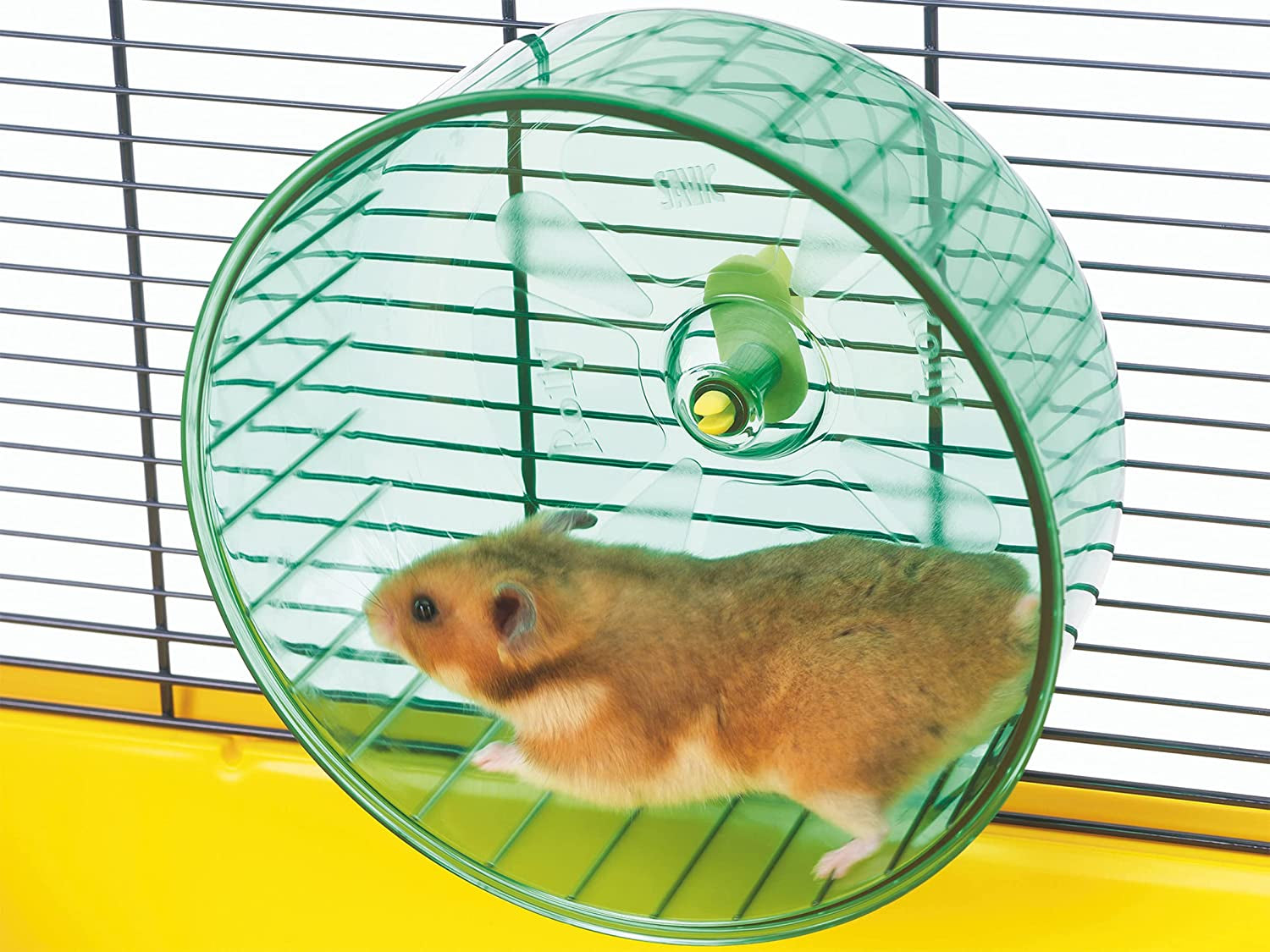Rolly Exercise Wheels for Small Animals (Large - 7 Inch)