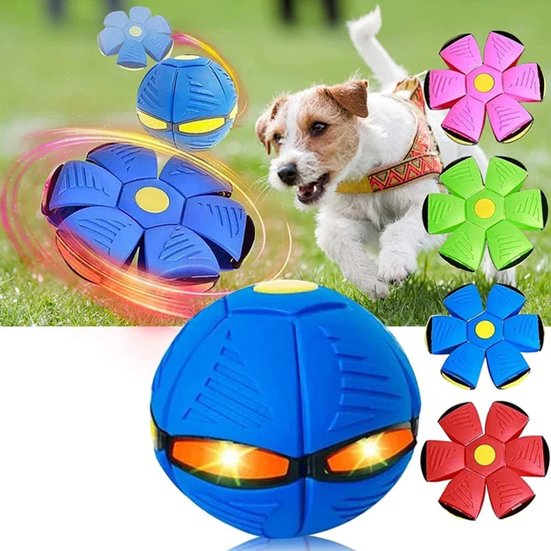 "Magical Pet Flying Saucer Ball: The Ultimate Outdoor Fun Toy for Kids and Dogs - 2023 Edition!"