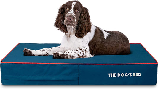 The Dog’S Bed Orthopedic Memory Foam Dog Bed, Large Blue/Red 40X25, Pain Relief for Arthritis, Hip & Elbow Dysplasia, Post Surgery, Lameness, Supportive, Calming, Waterproof Washable Cover