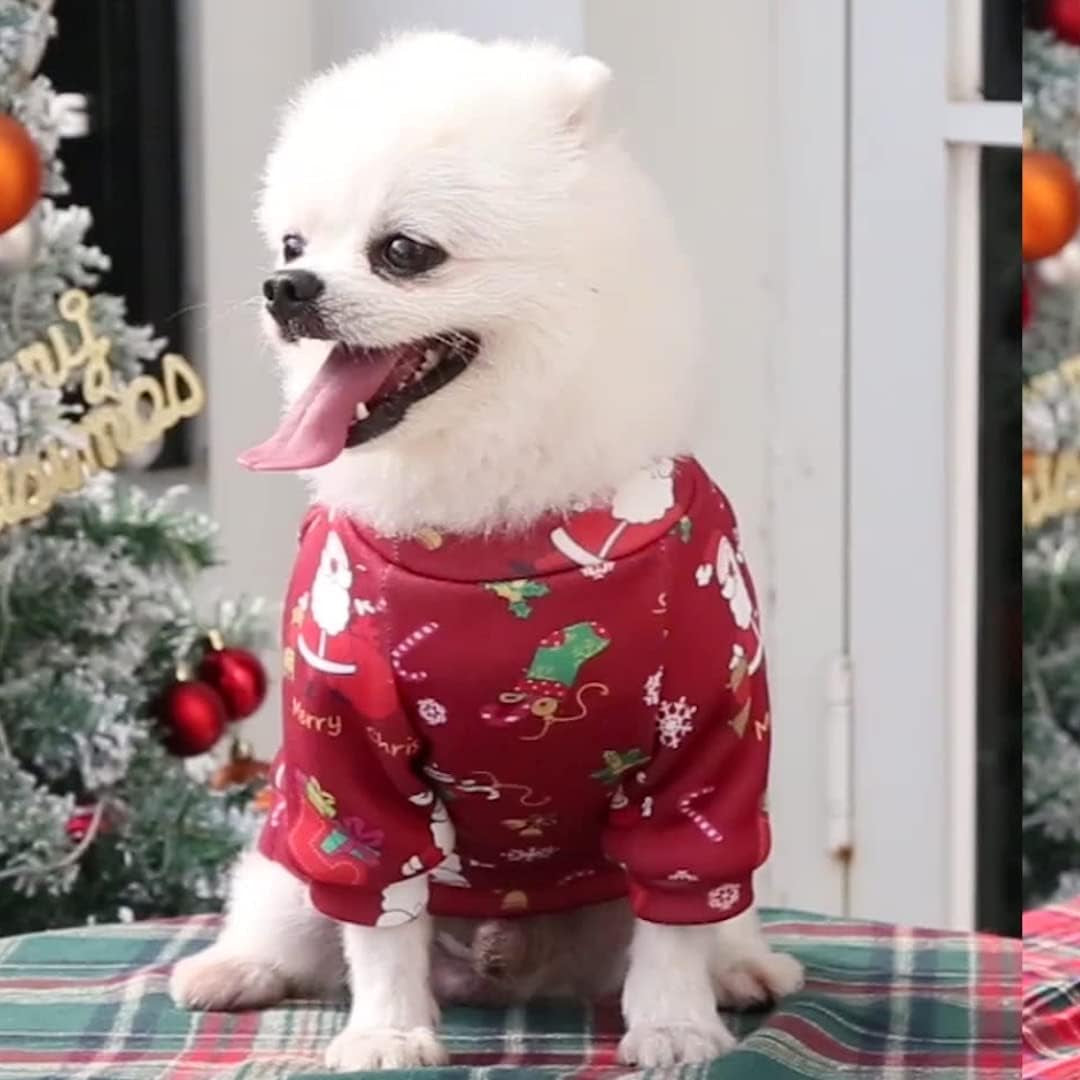 Christmas Sweatshirt for Dogs Puppy Pets Dog Clothes for Autumn and Winter (Christmas RED, X-Large)